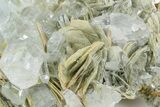 Gemmy Aquamarine Crystals on Muscovite - Pakistan #354667-1